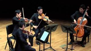 SibeliusAndante Festivo string quartet ver by NOVUS Quartet [upl. by Nelag]