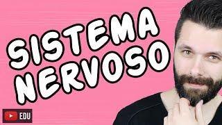 SISTEMA NERVOSO  FISIOLOGIA  Aula  Biologia com Samuel Cunha [upl. by Amisoc]