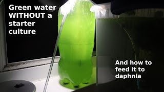 Green Water WITHOUT a Starter Culture  From Scratch  How To [upl. by Kloster]