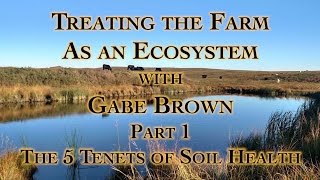 Treating the Farm as an Ecosystem with Gabe Brown Part 1 The 5 Tenets of Soil Health [upl. by Buckden]