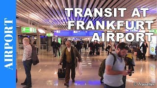 TRANSIT WALK AT FRANKFURT Airport FRA Terminal 1  Connection Flight Transfer Arriving amp Departing [upl. by Danyluk]